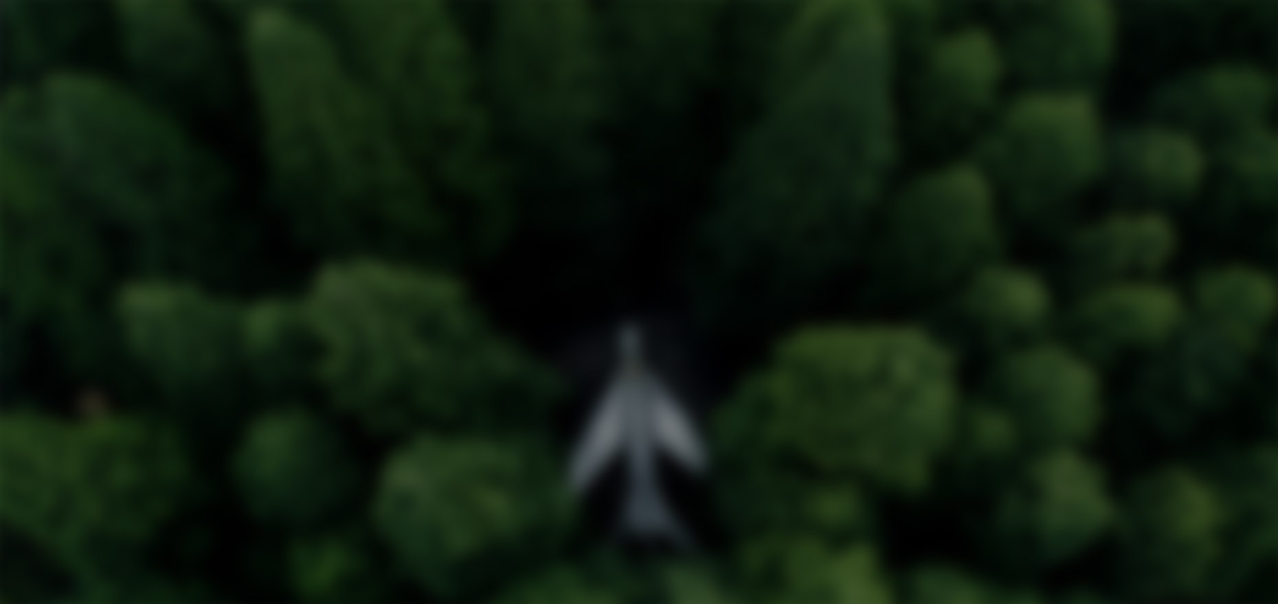 关键词：Carbon, 碳汇资源监测，森林生态俯瞰，深圳市武智科技;描述：深圳市武智科技碳管理相关的森林俯瞰画面，体现对碳汇资源的监测与管理场景