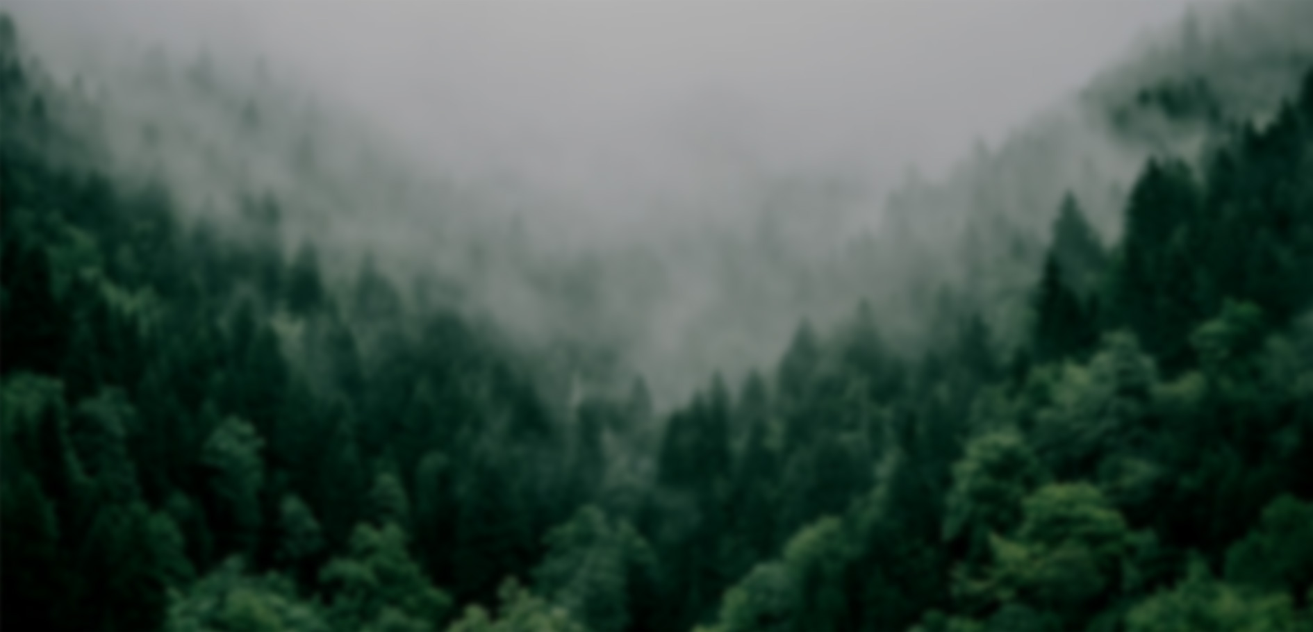 关键词：山林生态、低碳自然禀赋、生态固碳、绿色低碳基底
    描述：朦胧的山林景观，以丰富植被展现生态固碳的低碳自然禀赋，是区域绿色低碳发展的天然基底，为低碳生态体系构建提供自然支撑。